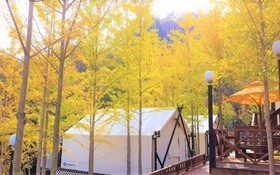 Chuncheon Yellow Hill Glamping Pension