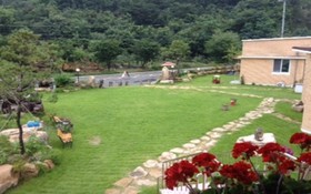 Chungju Dalduru Pension