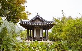 Chungju Wildflowers And Gotaengnadeuri