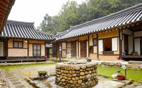 Chungju Wildflowers And Gotaengnadeuri