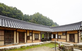 Chungju Wildflowers And Gotaengnadeuri