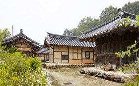 Chungju Wildflowers And Gotaengnadeuri