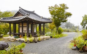 Chungju Wildflowers And Gotaengnadeuri