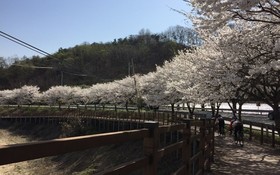 Chungju Wolsang 339 Pension