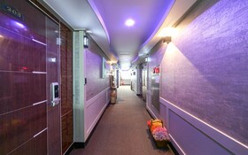 Gumi Geumosan Pink Rose