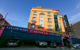 Gumi Wonpyeong Freesia