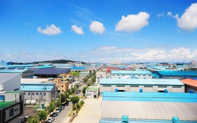Gunsan Haru