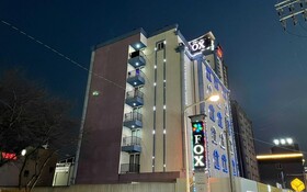 Gunsan New Fox