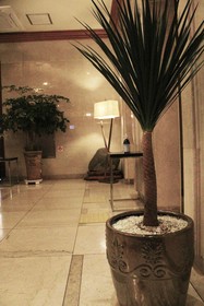 Brown Dot Hotel Gwangju Sangmu