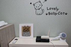Coco Guesthouse-Hostel
