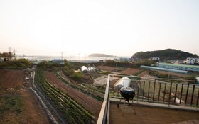 Daebudo Daldal Pension