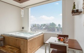Daebudo Gallery Spa Pension