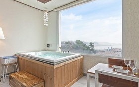 Daebudo Gallery Spa Pension