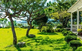 Daebudo Good People Pension