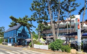 Daebudo Haesong Pension