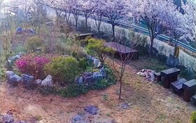 Daebudo Human History Pension