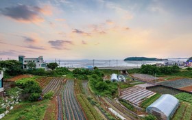 Daebudo Hyangginaneun Pension