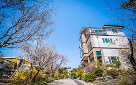 Daebudo Noeul And Bada Pension