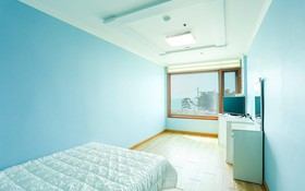 Daebudo Wooseong Resort Pension