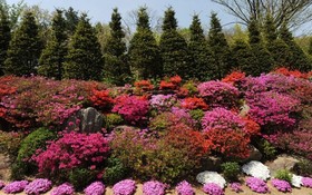 Ganghwado Charmant Pension