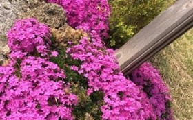 Ganghwado Gold View Pension