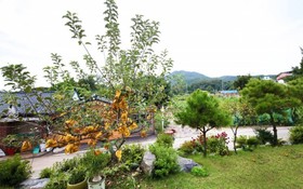 Ganghwado Manisan Pension