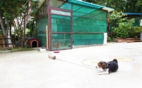 Ganghwado Star Pension