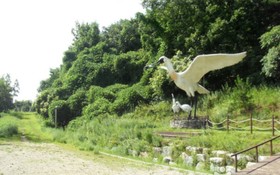 Ganghwa White Stone Pension