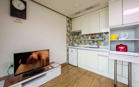 Seokmodo White Wing Pension