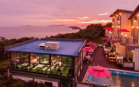 Seokmodo White Wing Pension