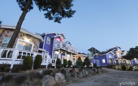 Seonjedo Iris Pension