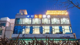 Yeongheongdo Badanoel Spa Pension