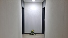 Yolo House