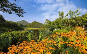 Jecheon Noksuwa Cheongsanuijip Pension