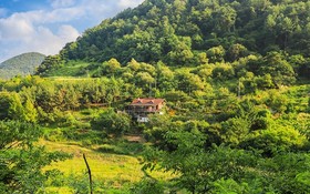 Jecheon Noksuwa Cheongsanuijip Pension