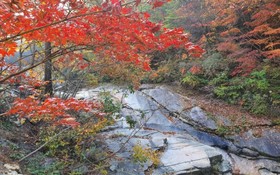 Jecheon Provence Pension