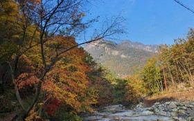 Jecheon Provence Pension