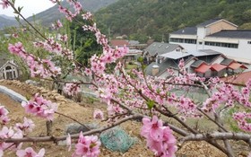 Jecheon Provence Pension