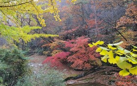Jecheon Provence Pension