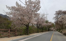 Jecheon Provence Pension