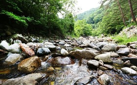 Jecheon Sangwagyegok Grigona Pension