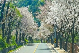 Jecheon Venezia Pension