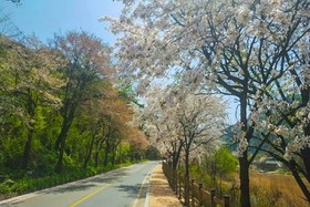 Jecheon Venezia Pension