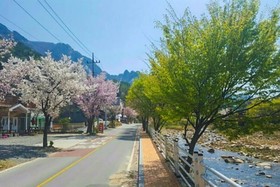 Jecheon Venezia Pension