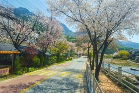 Jecheon Venezia Pension