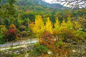 Jecheon Venezia Pension