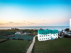 Healing Palace Pension