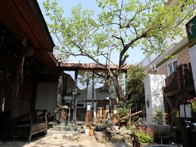 Chui Rak Dang