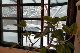 Jeonju Saggye Hanok Stay