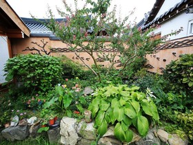 Saekdongjeogori Guesthouse